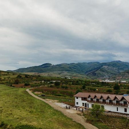 Pensiunea Casa Negrea Ighiu Luaran gambar