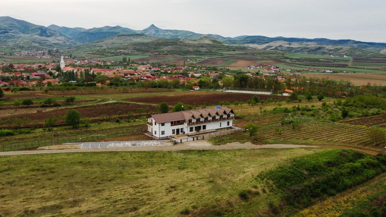 Pensiunea Casa Negrea Ighiu Luaran gambar