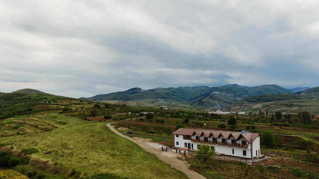 Pensiunea Casa Negrea Ighiu Luaran gambar