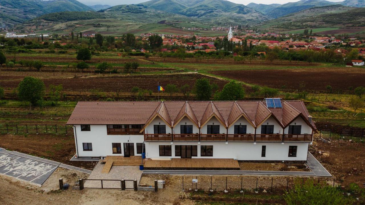 Pensiunea Casa Negrea Ighiu Luaran gambar