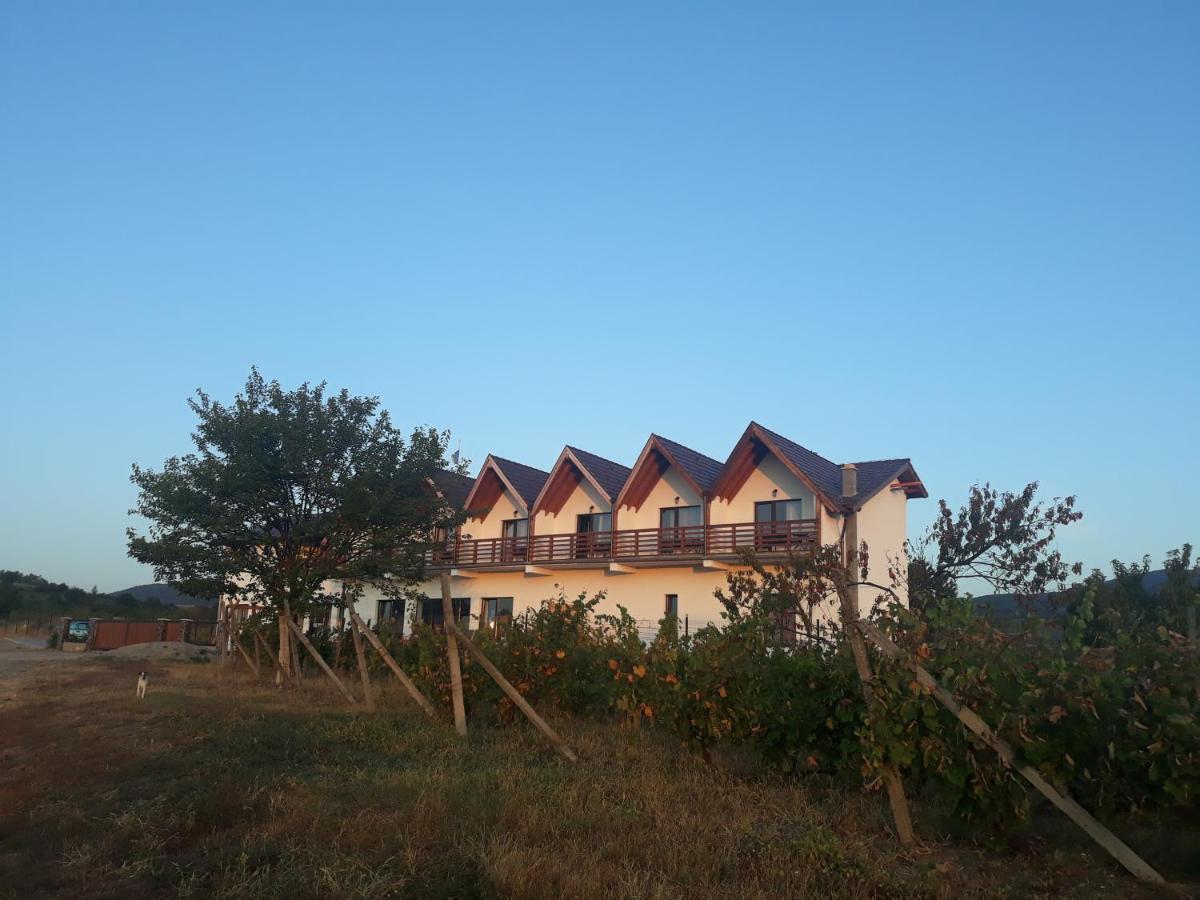 Pensiunea Casa Negrea Ighiu Luaran gambar