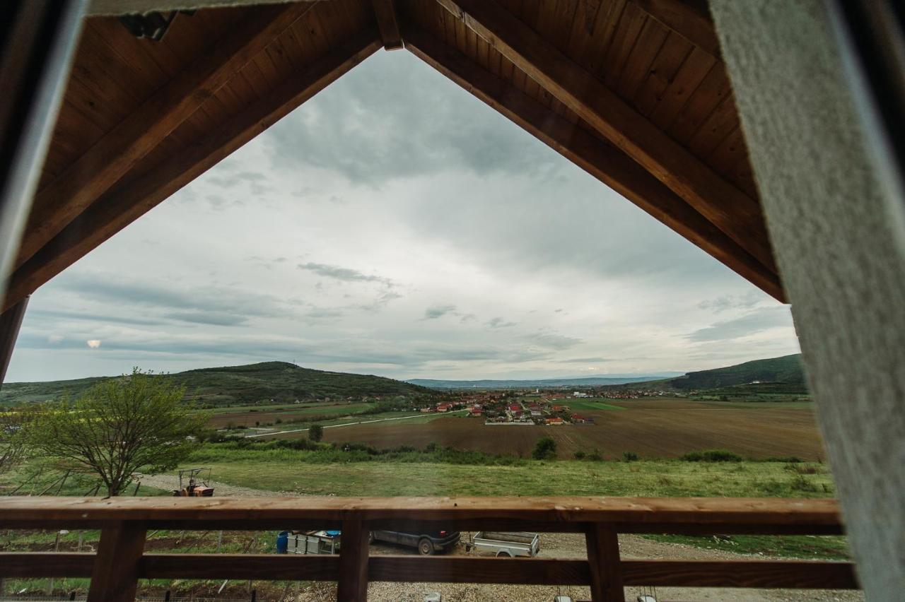 Pensiunea Casa Negrea Ighiu Luaran gambar