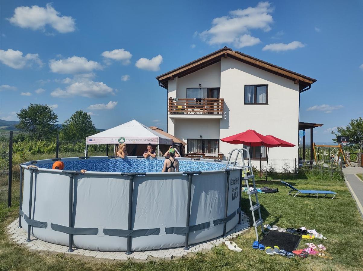 Pensiunea Casa Negrea Ighiu Luaran gambar